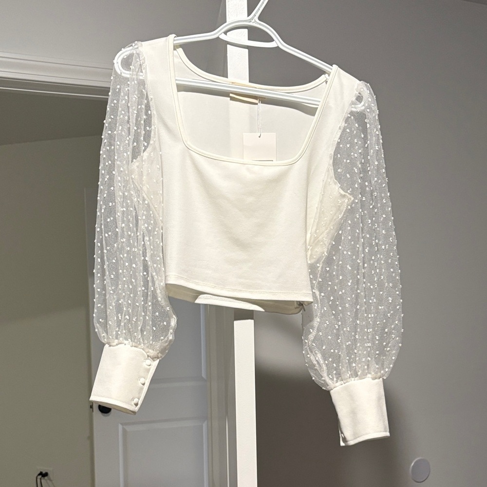 Fun Cropped White Embelished Sheer Sleeve Top